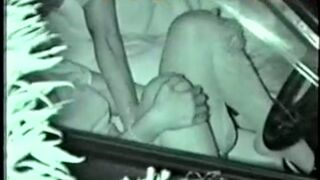 Gorgeous Babe Masturbates Her Pussy Outdoors for Hot Action