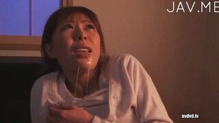 Japanese Dolls Squeeze Pleasure from Throbbing Dong in Erotic Hentai Scene