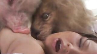 Asian Porn Star’s Wild AnimalFantasy Sex Session