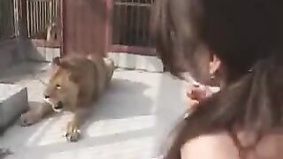 Lusty Lion Cage Entraps Bold Women for Wild Action