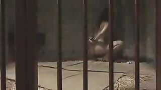 JAV Girl 18+'s Reality Behind Bars