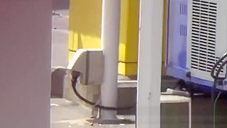 Japanese Women Expose Pussies While Peeing in Public - Hot Porn Clip