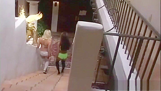 Exploreultimate pleasurewith BustyAsianLesbos! SlutherselfinVaselineEnhancedPart5.