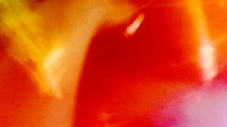 MILF blowjob gone wild – Watch her face melt with pleasure!