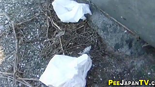 Japanese Beauty Discreetly Pees in Public for an Alluring Erotic Experience!