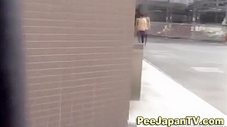 Japanese Women Urinate in Public – A Fetish Exploration