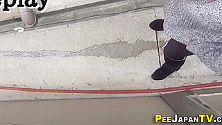 Alluring Hairy Japanese Snatch in an Erotic Urination Scene