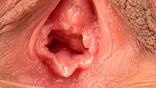 Japanese Enchantress Gets Wild with Throbbing Mouthfuls and Soaked Pussy