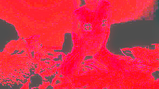 Alluring Body Reveal and Pussy Tease in a Seductive Private Striptease