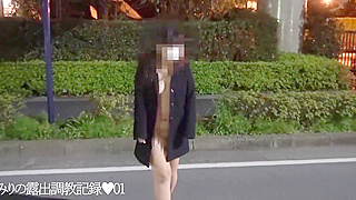 Japanese Beauty Emiri's Exciting First Public Flashing Adventure by the Roadside (68 characters)
